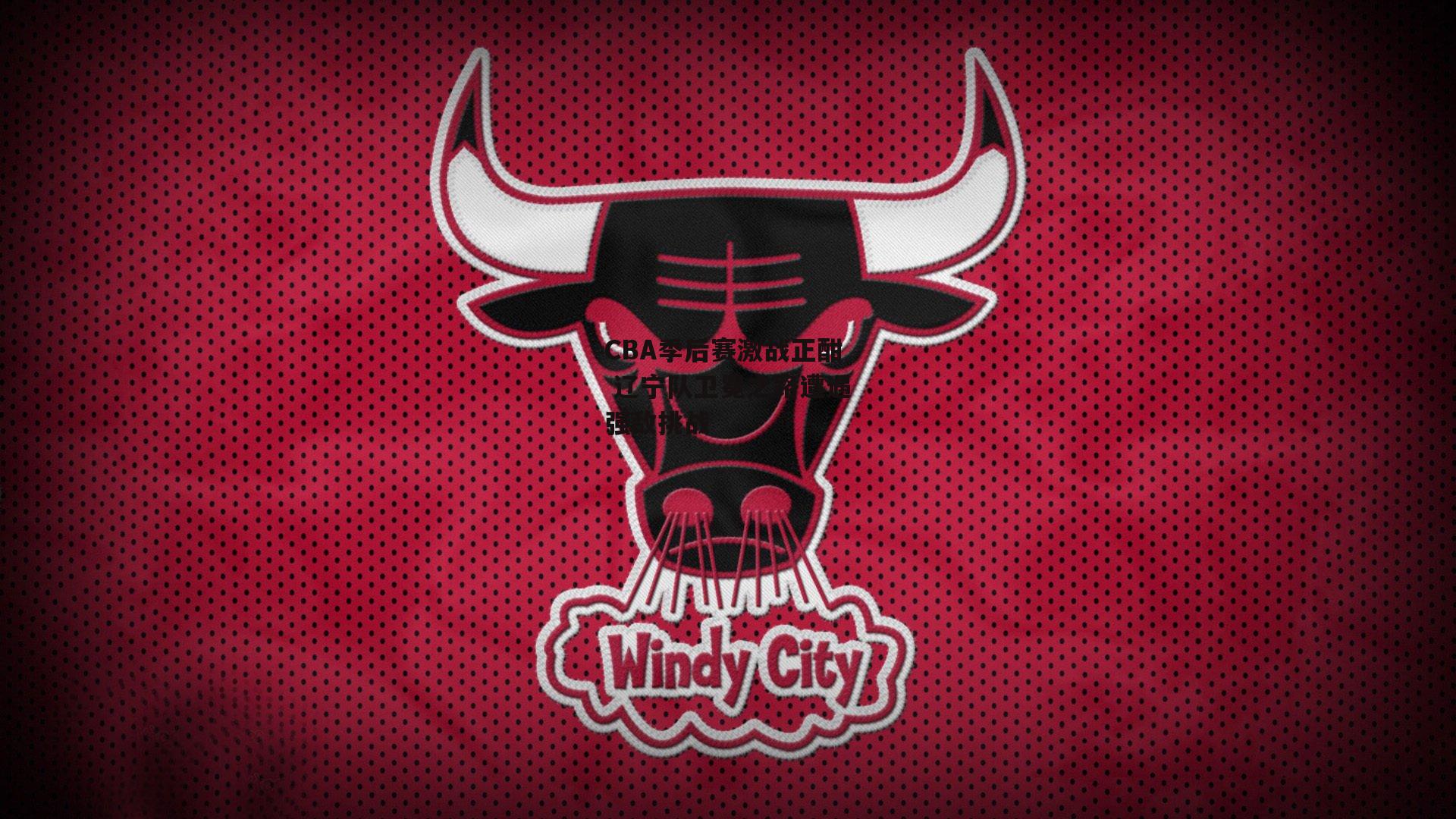 CBA季后赛激战正酣 辽宁队卫冕之路遭遇强敌挑战