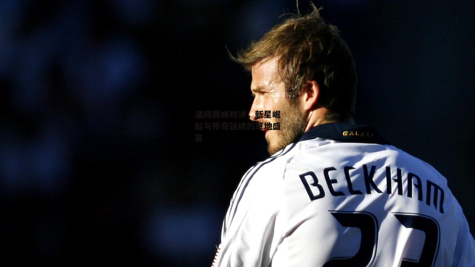 温网巅峰对决，新星崛起与传奇延续的草地盛宴